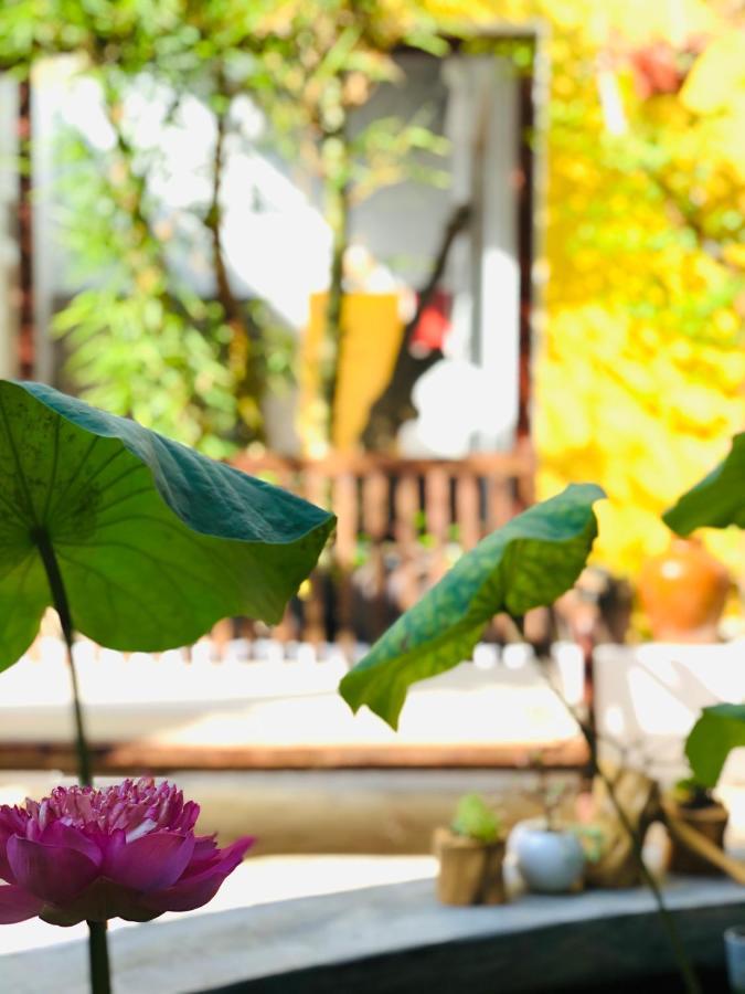 Leranda Homestay Хюэ Экстерьер фото