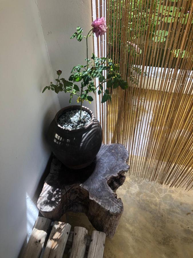 Leranda Homestay Хюэ Экстерьер фото