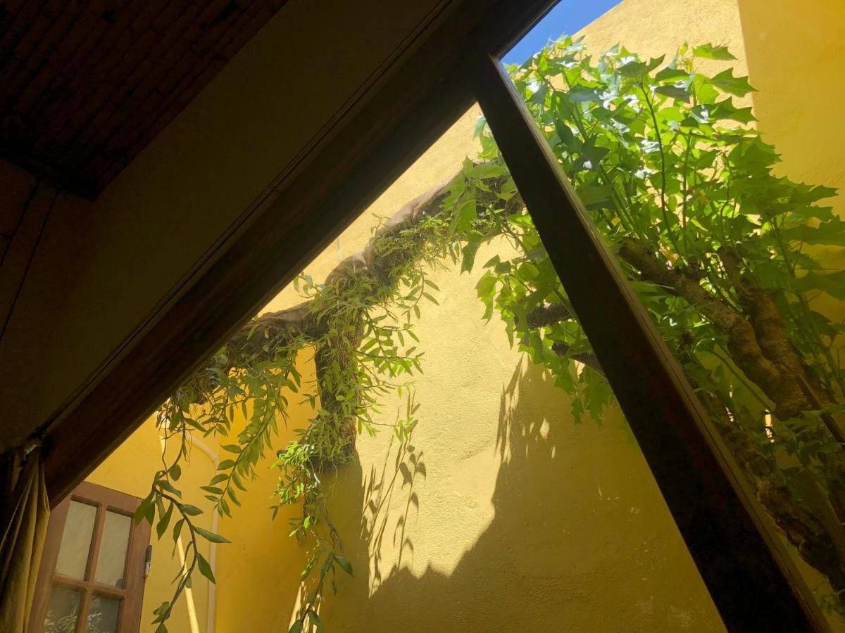 Leranda Homestay Хюэ Экстерьер фото