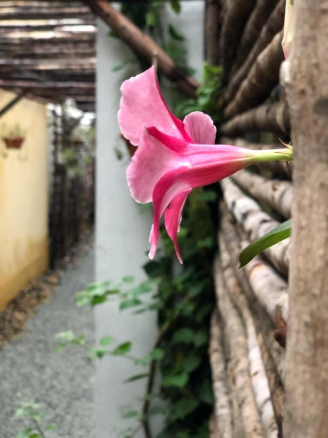 Leranda Homestay Хюэ Экстерьер фото